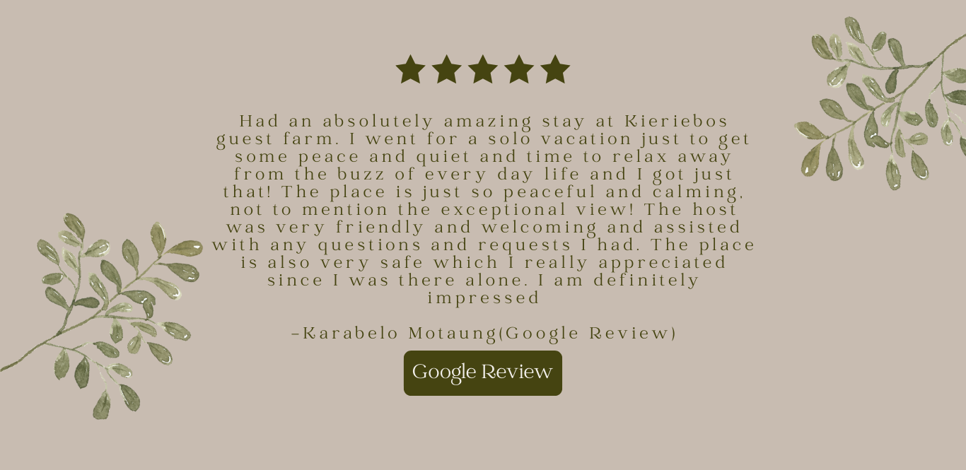 Copy of Copy of KIERIEBOS REVIEWS