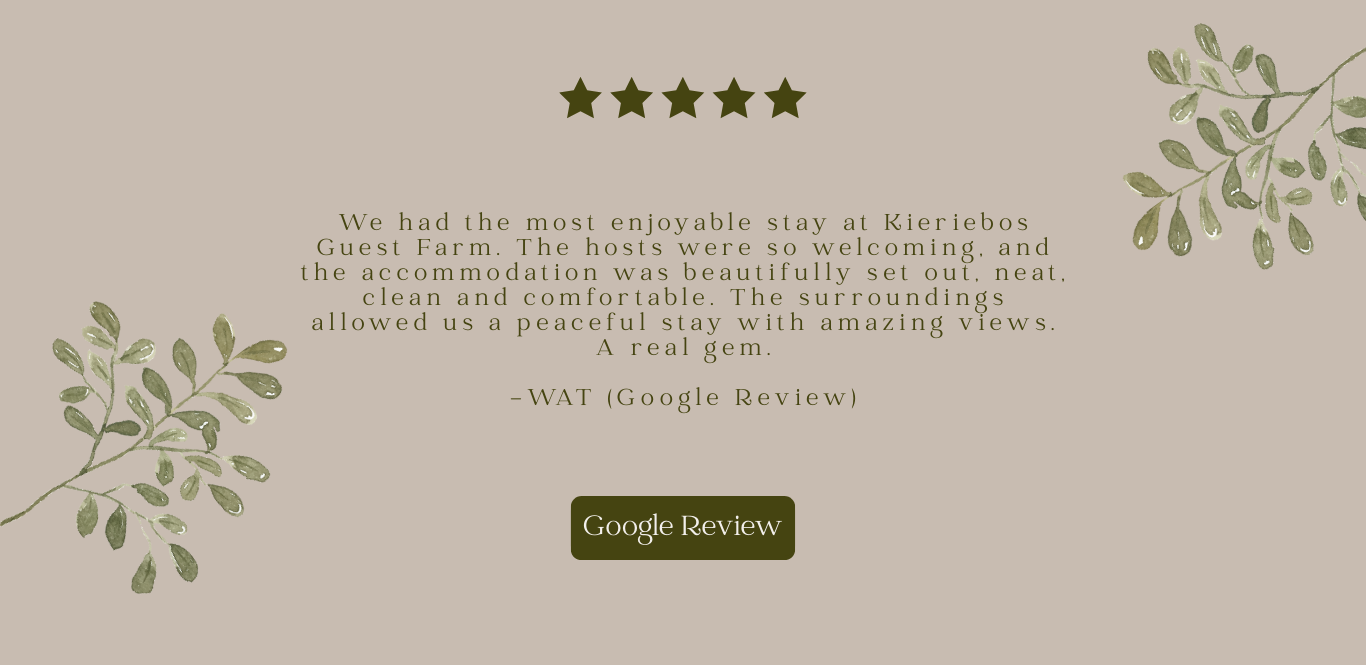 Copy of KIERIEBOS REVIEWS